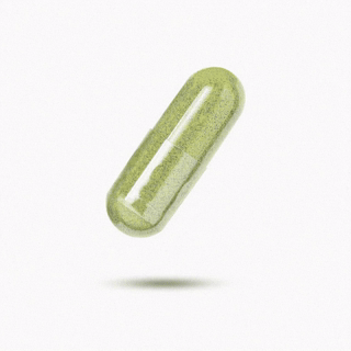 Moringa Leaf Extract